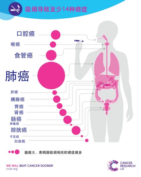 赵忠祥先生去世是因为肺癌还是鳞状细胞癌 吃瓜群众应该了解啥