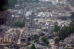 汶川大地震11周年,还记得 猪坚强 吗 现在的它仍然健在