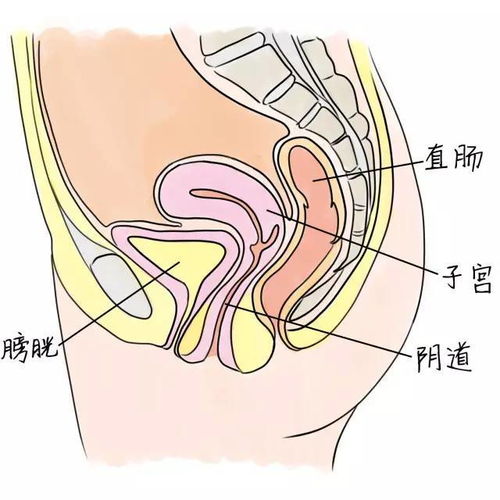 荆州东方妇科医院 ▏姑娘,你知道阴道里有多少细菌吗 真相太可怕 
