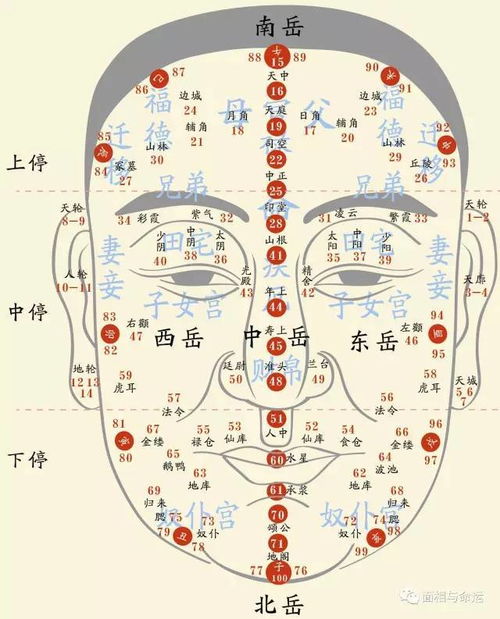 面相 看看自己人生里哪一阶段最称心如意,哪一阶段暗藏危机 