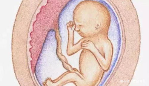 原创胎儿在肚子里是否健康，会发出6个“信号”，孕妈要读懂