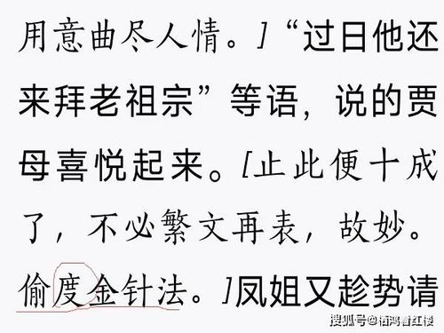 红楼梦中有偷度金针法,什么是偷度金针 哪一段是偷度金针