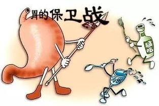 胃不好该如何调理 科学饮食很关键 