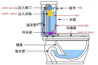 别再冤枉好马桶了 马桶堵塞 不防臭 水箱注水慢 洗净面局部发黄的原因已找到,大多不是质量问题 附 马桶常见故障解决方法 