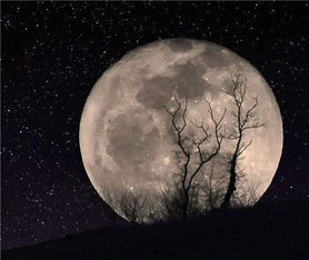 双子座满月,对12星座有何重大影响