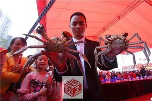 武汉一对螃蟹价值21万 这吃的是钻石黄金和钞票啊 