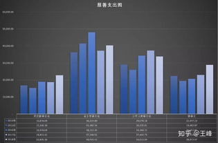 财报分析还能这么玩 王峰老师带你分析公益组织