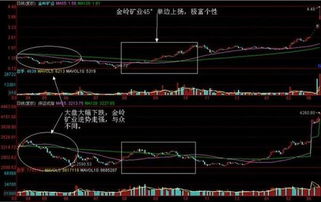 从1664点到现在总供有多少股票上市??