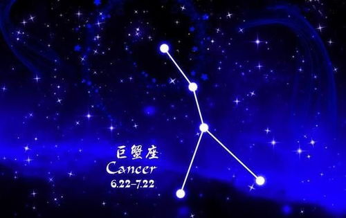 这三个星座踏实上进,非常会照顾人