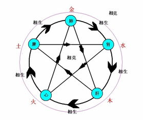 善用五行原理养生长命百岁 