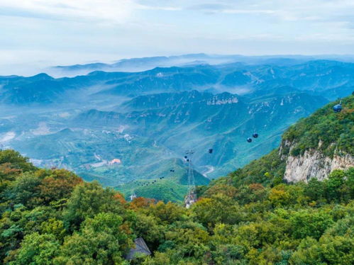 山东山西的山是指