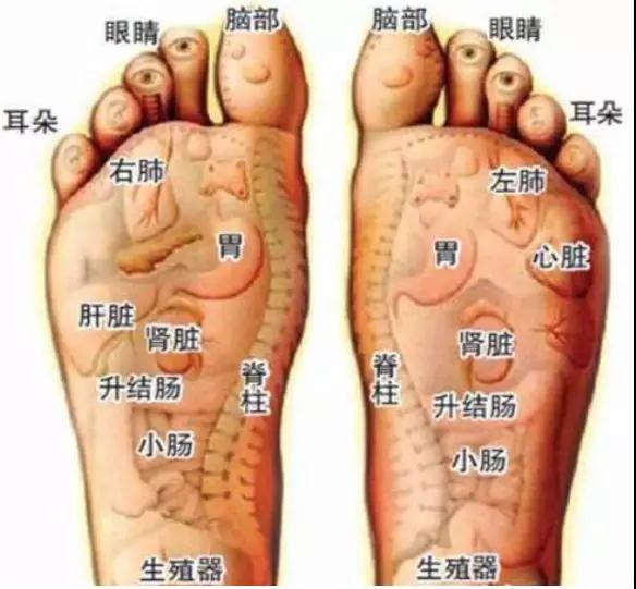 做足疗没时间 孝心康老人按摩鞋为你解忧