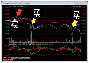 股票是根据什么每天涨跌的 每天 每天 为什么每天都有涨跌？