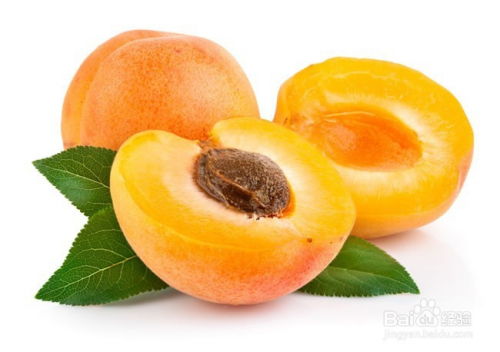 怎么判断黄桃是否成熟 黄桃未成熟的样子