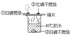 根据如图所示的实验现象分析.下列说法错误的是A.①②对比说明物质燃烧需要与空气接触B.①中使温度达到白磷着火点是利用了铜的导热性C.烧杯中的热水只起提高温度的作用D 