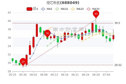 新纶科技股票