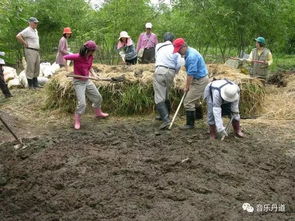 5月10 12日 亲子共同参与的活力农耕 生物动力农耕 工作坊