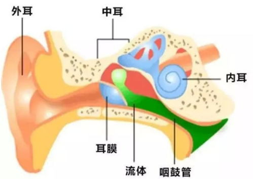 北京首大眼耳鼻喉医院耳鼻喉专家 中耳炎,为了避开你我该怎么办