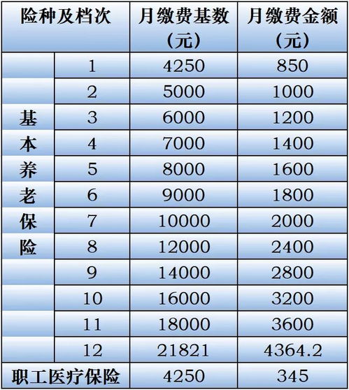 临沂市2022年灵活就业者应该交多少养老保险缴费(沂南灵活就业养老保险)