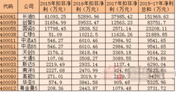 st长油60087与长油5400061是一支股票吗