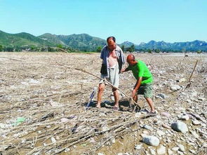 平地种树多还是高低不平的种树多