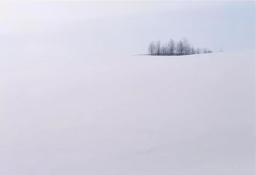 如何拍好雪景 掌握几个小技巧轻松拍大片