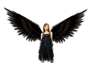 Photoshop教程 绘制天使翅膀 