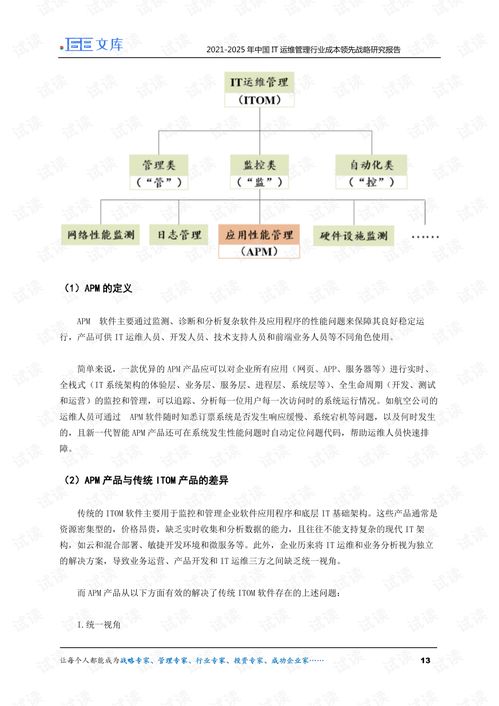 2021 2025年中国IT运维管理行业成本领先战略研究报告.pdf