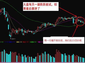 2022年6月后,我国股市屡次出现“千股跌停”的局面,请从投资者心里的角度去分