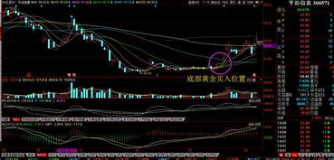 股票诊股已发现中线买入信号什么意思是否跌还是涨价呢