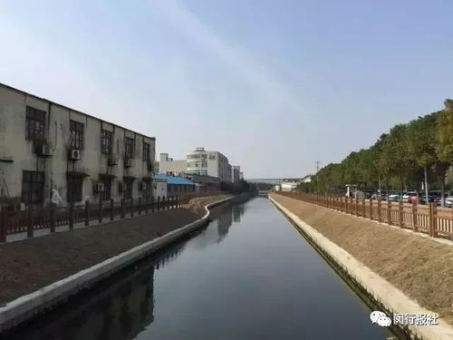 七宝又有大动作 将开建一批学校 绿地 九星城 景观和市政项目