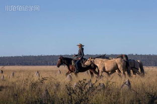 澳洲女子跨最古老徒步路线 仅带上三匹马和一条爱犬 