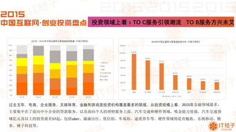 中国互联网十大排名，有哪些没外企投资?