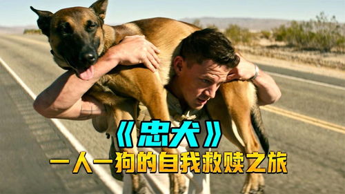 哪些国语电影有狗狗主演？
