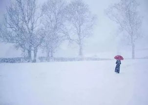 摆好姿势 你与 天泉仙境 之间的邂逅, 就差一场初雪了