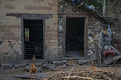 农村老话 老屋住人百年不塌,无人居住五年就塌 ,到底是什么意思 