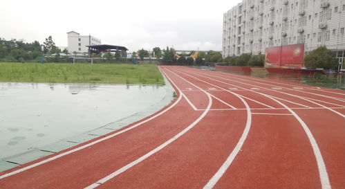 成都职高寄宿学校有哪些