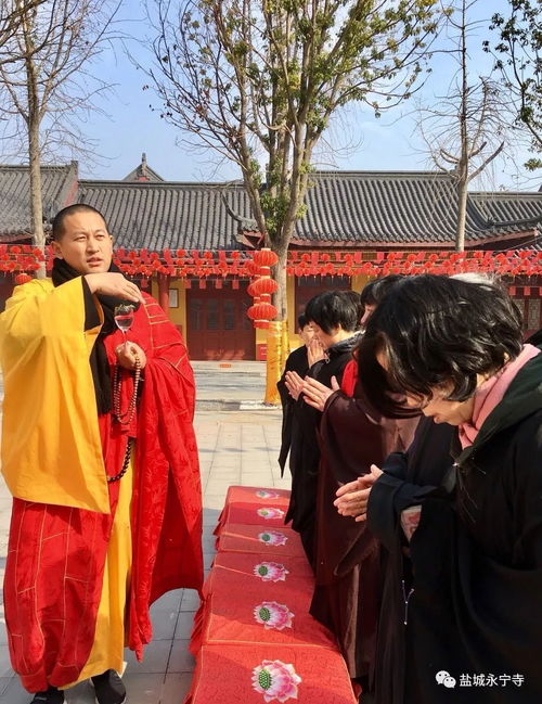 生肖守护 新春永宁寺,我和生肖合个影