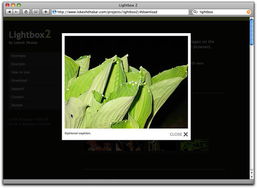 lightbox效果弹出窗口中输出网页内容