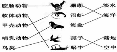 每线1分,共10分 请你连线,将中间一列动物与其左边所属类别连起来并为它们寻找自己的家园. 