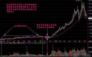 中国股市实行T1不实行T0你知道是为什么吗