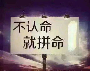 我们为什么要努力