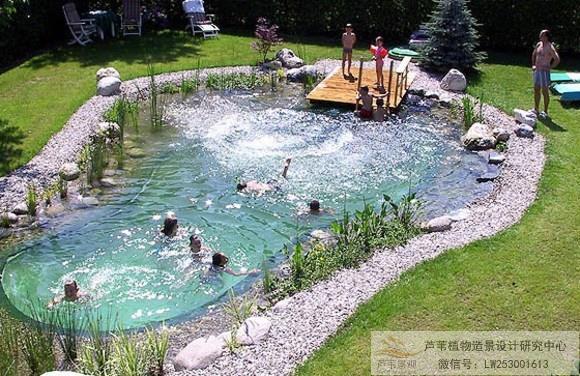 景观新概念 生态泳池