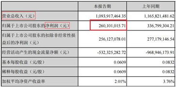 定期定额申购支出的钱去哪了，在哪可以看见，如何赎回