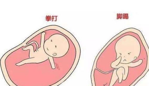 原创孕期，孕妈有4个“表现”，恭喜你，多半是怀了个“贴心小棉袄”