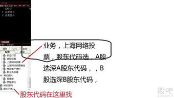 深A，深B；沪A，沪B股是什么意思？