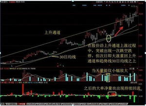 求教追踪庄家主力们的方法