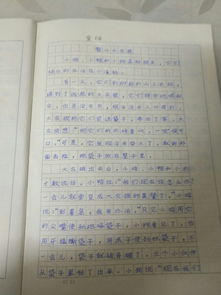 9999999999亿字作文有吗