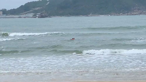 4名游客在三亚溺水,3人遇难1人失联,当地 事发海域禁止下水