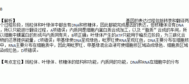 下列有关高等植物细胞结构的说法正确的是A.线粒体.叶绿体.核糖体中均能发生基因的表达B.细胞中膜蛋白的形成与内质网有关C.叶肉细胞在光下产生的ATP都可以直接用于细胞的各种生理活动 